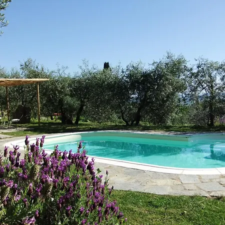 Farm stay Agriturismo Il Castagnolino