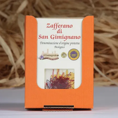 Agriturismo Il Castagnolino Farm stay San Gimignano